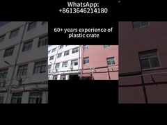 फोल्डिंग प्लास्टिक क्रेट स्टोरेज स्टैकेबल लॉजिस्टिक्स पैकिंग