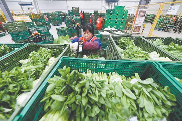 नवीनतम कंपनी ब्लॉग के बारे में क्यों 600×400×220 मिमी जालीदार कटोरे 2026 में ′′Last-mile′′ ताजा उपज वितरण के लिए मानक बन रहे हैं?